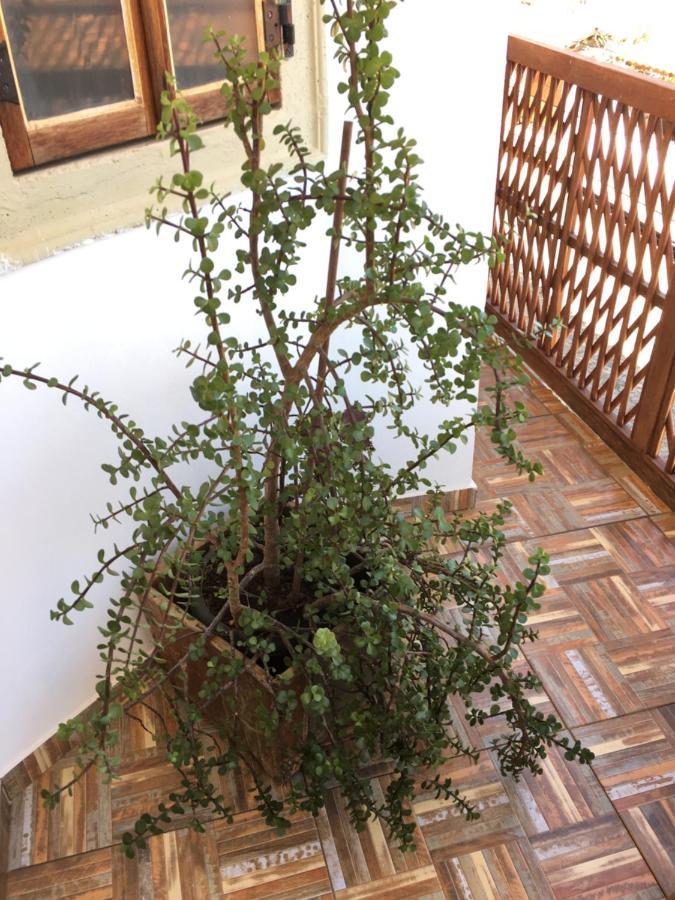 Cama Caminho Da Serra Tiradentes Εξωτερικό φωτογραφία